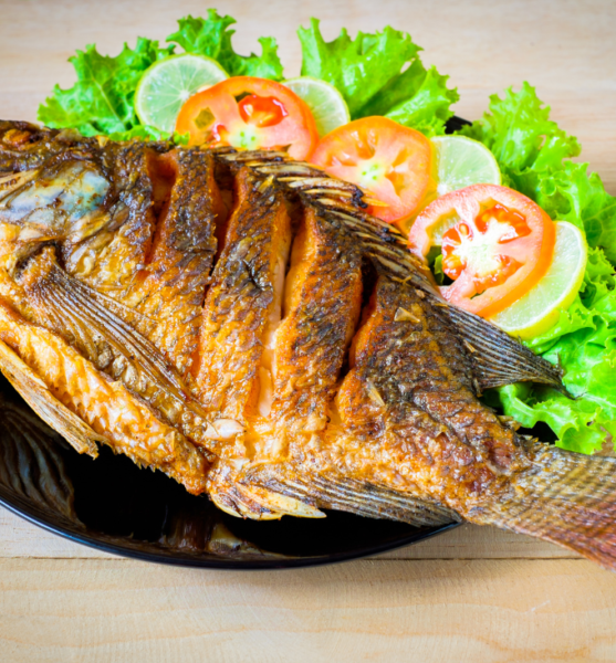 Fish